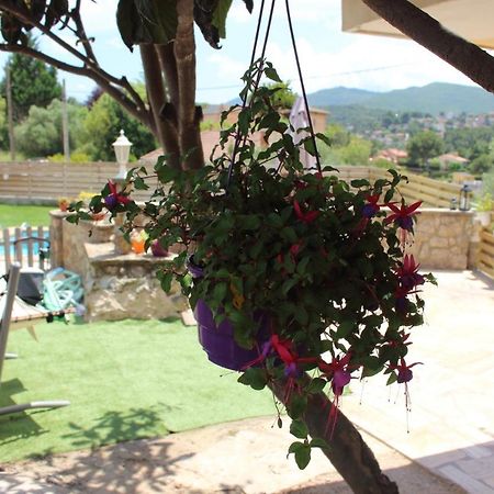 Apartament Vall De Montserrat Castellbell i Vilar Екстериор снимка